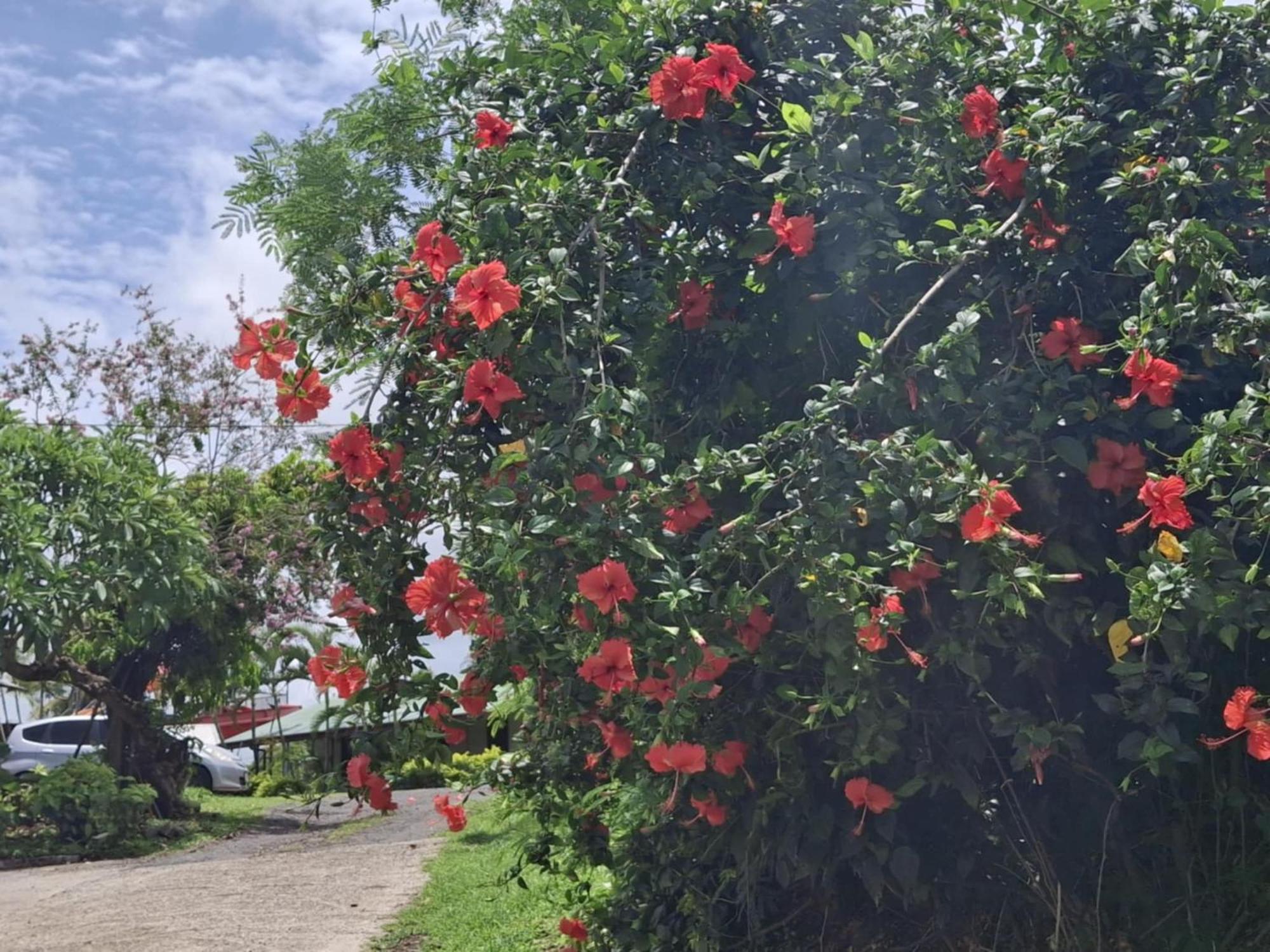 Tavua Hotel Ismail Investments エクステリア 写真